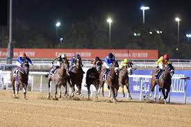 موسم سباقات الخيول في الإمارات سيكلل بالنجاح 