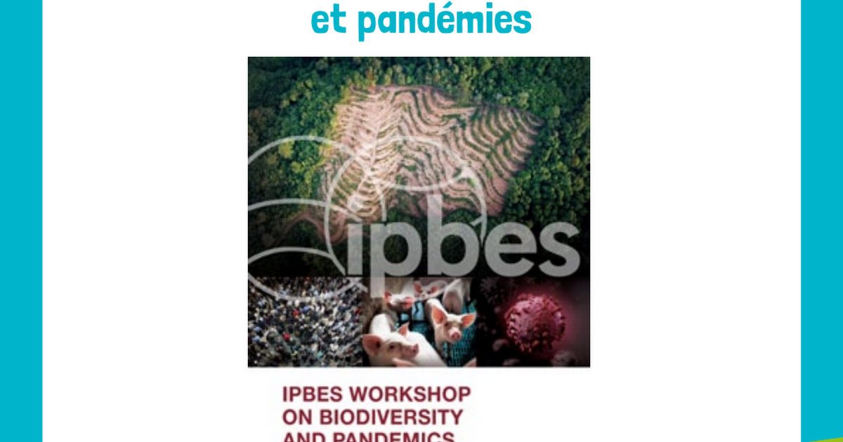 resume_ipbes_pandemics_web.pdf