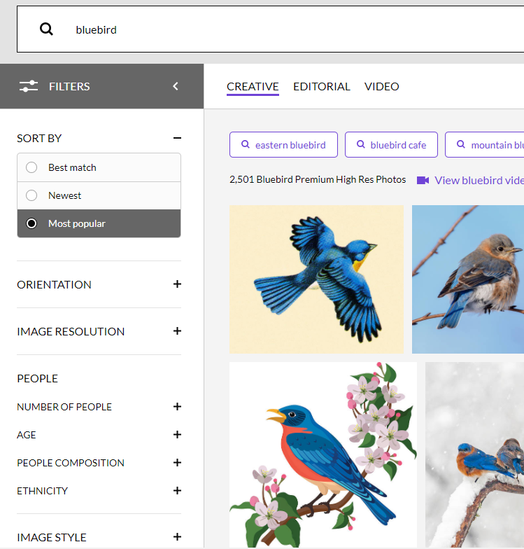 The 12 Best Image (Visual) Search Engines for Marketers