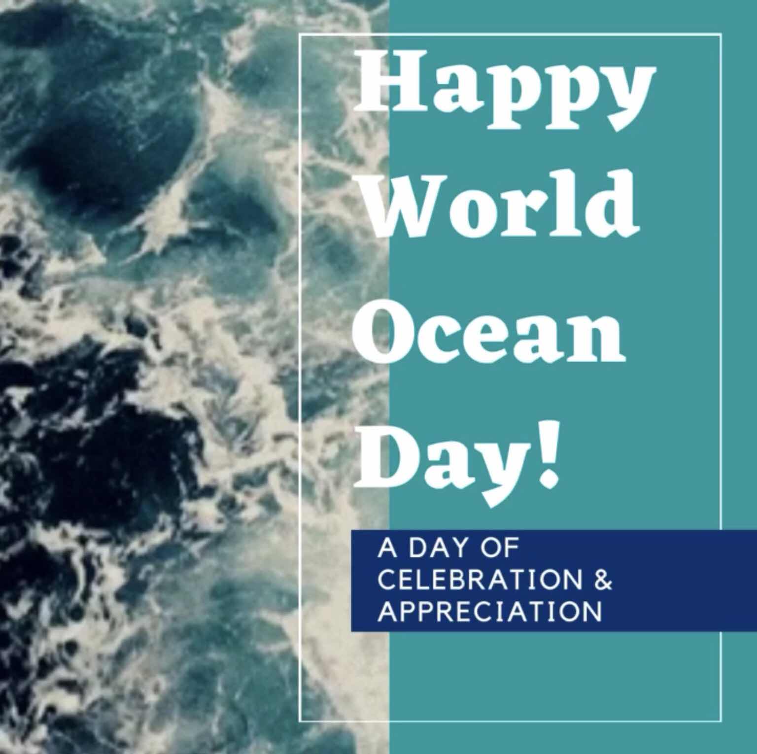 Petra S Closet Happy World Ocean Day From Pk