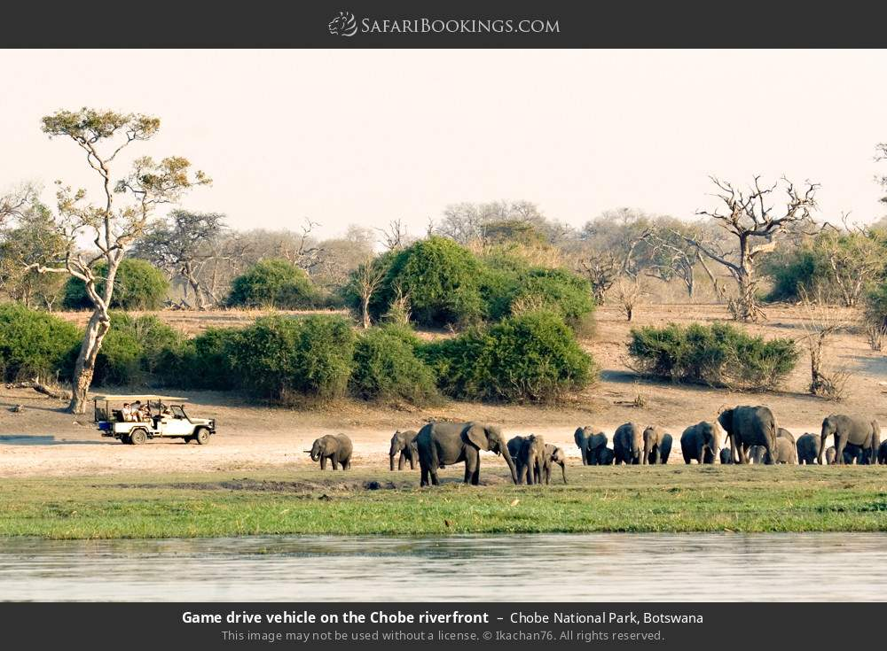 5 African Road Trip Itineraries For Families