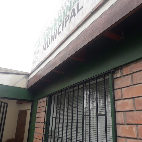 Opiniones de Consultorio Veterinario Municipal en San Isidro - Veterinario