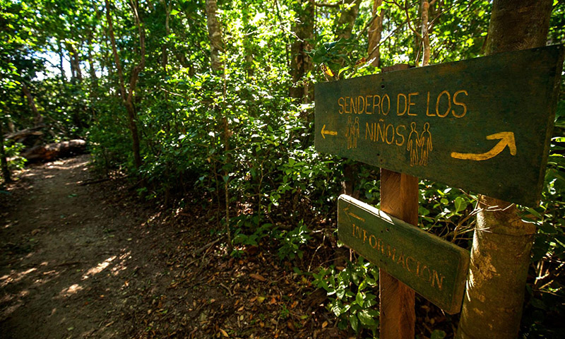 Children’s Eternal Rainforest Reserve