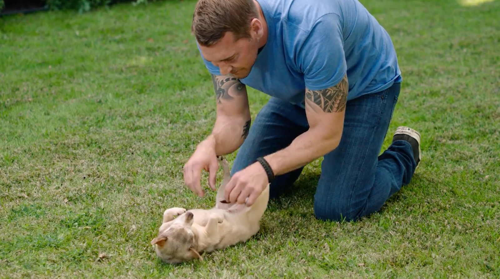 Brandon McMillen playing with a chihuahua