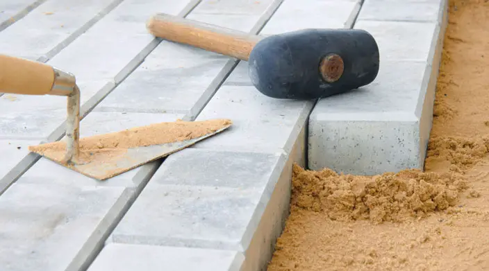 How Much Builders Sand To Use for Different Plants
