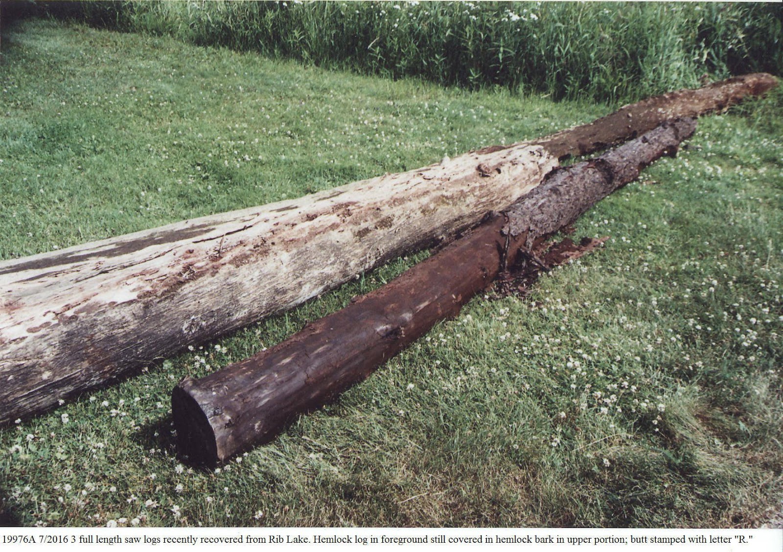 C:\Users\Robert P. Rusch\Desktop\II. RLHSoc\Documents & Photos-Scanned\Rib Lake History 19900-19999\19976A P. 7-2016 3 logs recovered from Rib Lake after at least 64 years..jpg