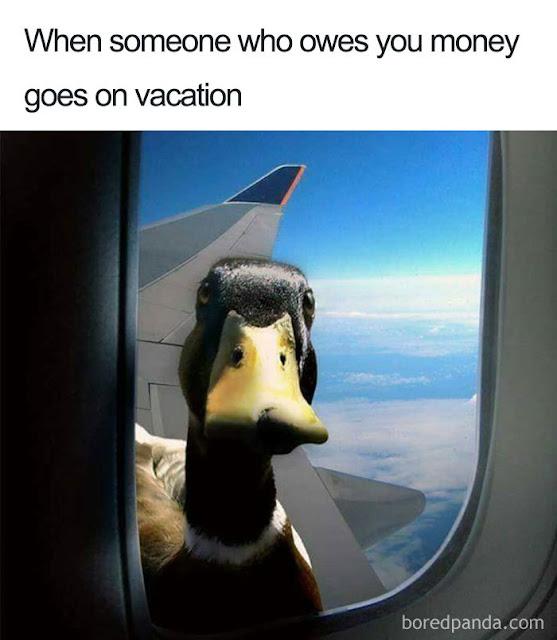 Funny Travel Memes