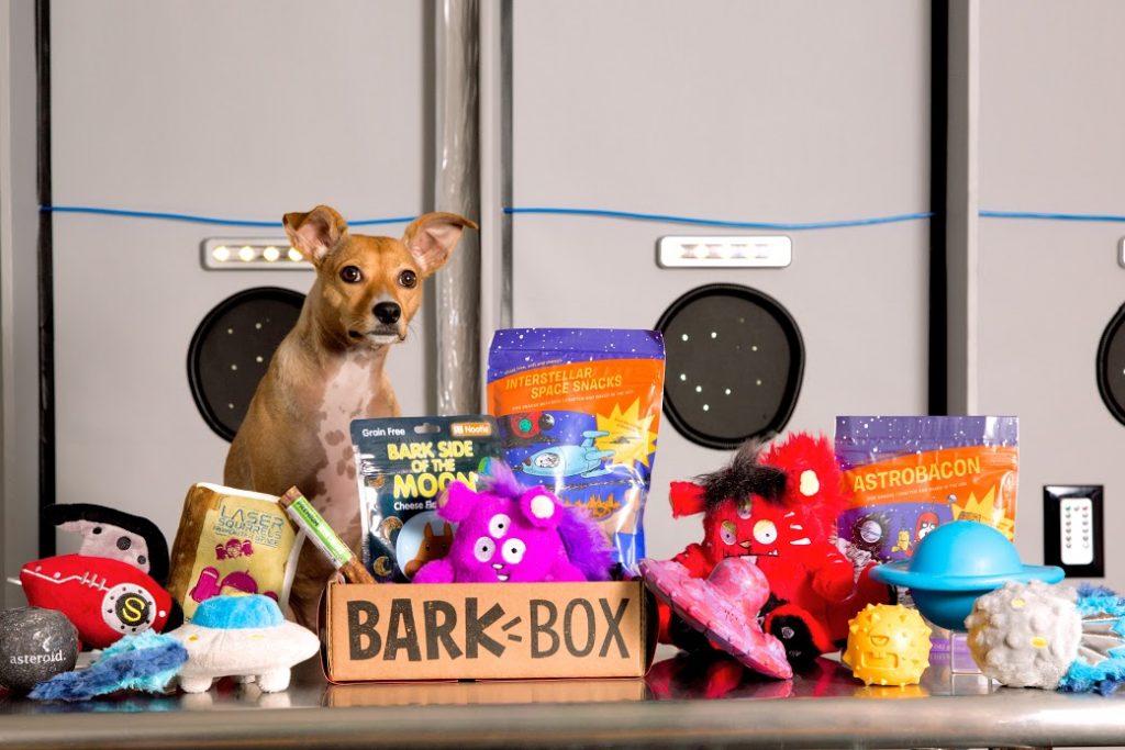 How BarkBox thinks inside and outside the box to create runaway hits