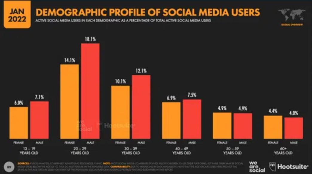 Social media use varies by demographic.