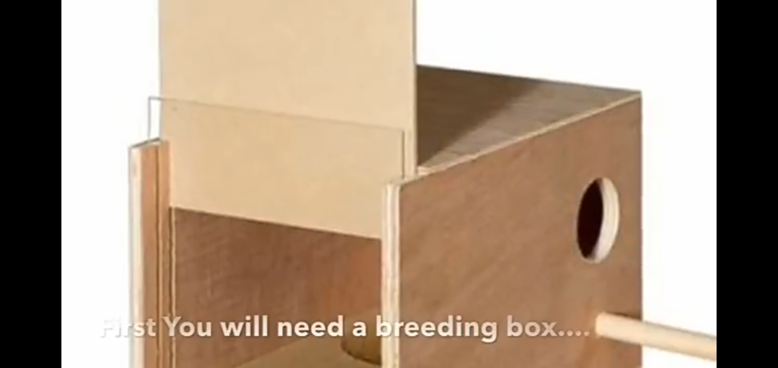 Nesting Box