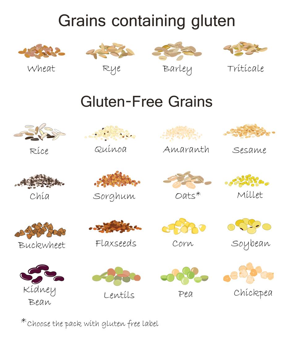 Types of Gluten and Gluten-Free Grains