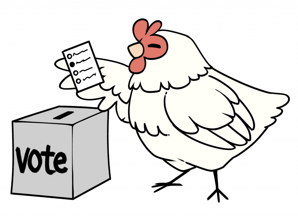Illustration of "Brook" the Artisans Cooperative chicken, submitting a ballot and casting a vote
