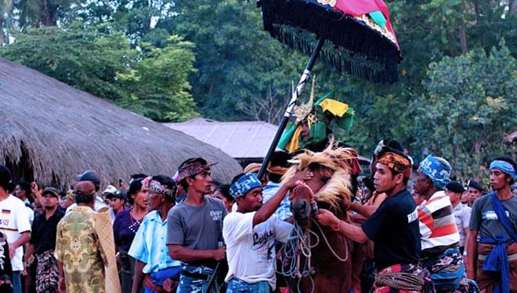 Tradisi Budaya Pemakaman Jenazah Penganut Kepercayaan Marapu Tetap Dijaga |  TIMES Indonesia