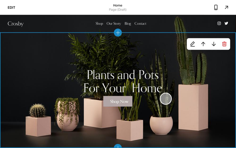 Customizing Your Squarespace Site: A Detailed Walkthrough