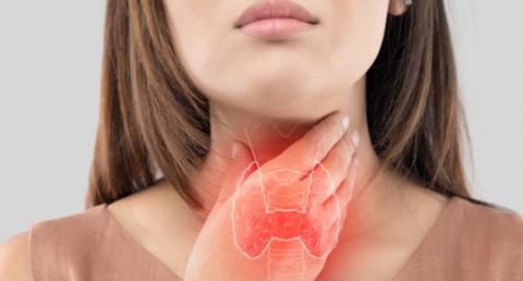 Thyroid and Hormone Balance