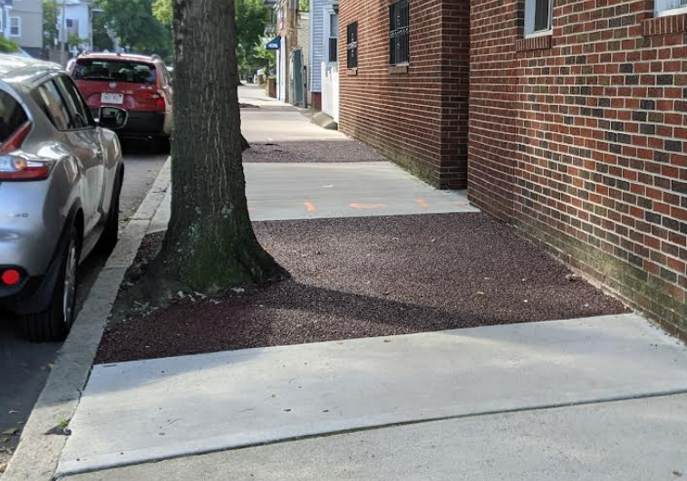 Example of a street tree surrounded by a permeable surface.