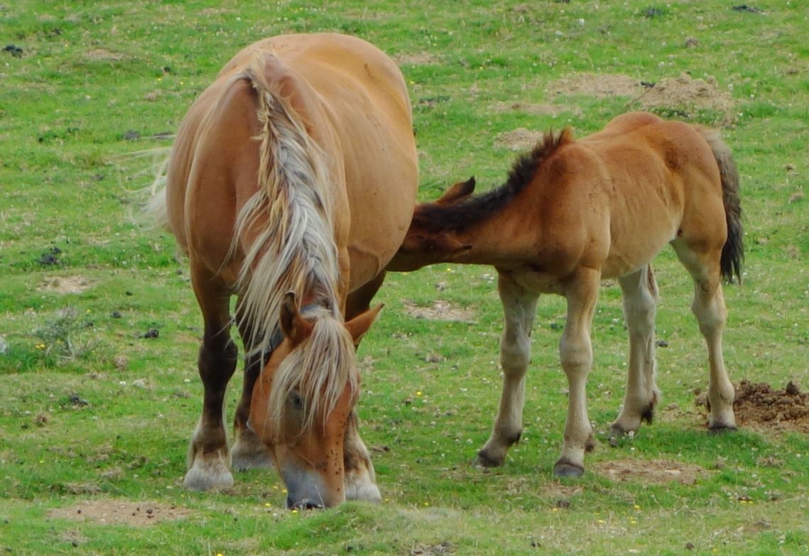 ob_5b800b_5705.JPG