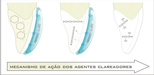 Diagrama

Descrição gerada automaticamente com confiança média