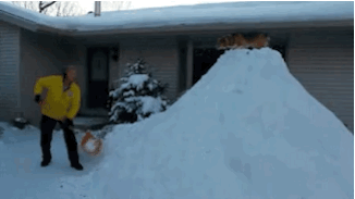 1446780914179785.gif