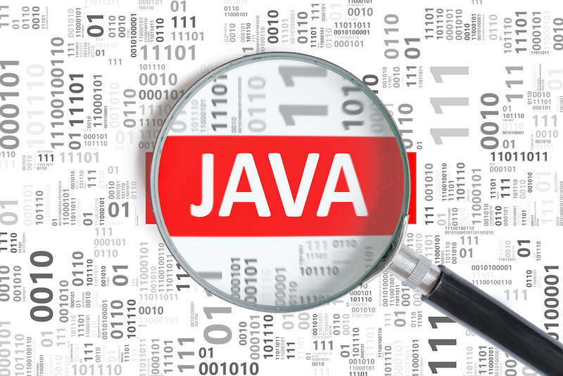Label showing the Java coding language