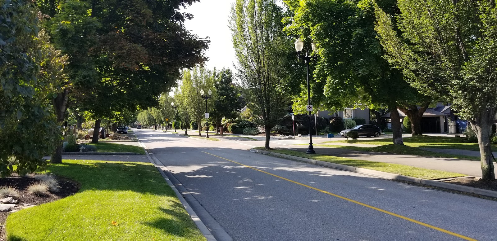 Green grass, tall trees, and a walking path along Abott Street in Kelowna, BC, Canada