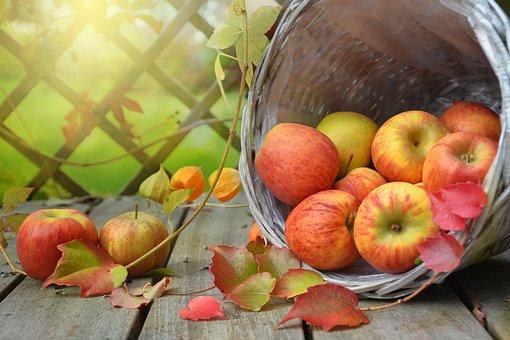 Apples, Leaves, Fall, Still Life, Basket