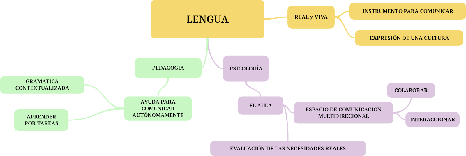 LENGUA.png