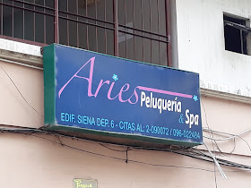 Aries Peluquería & Spa