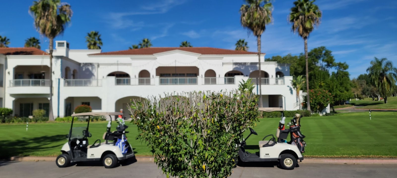 초록초록 27홀 챔피언십 골프코스 - 로스 카요티스 컨트리클럽 Los Coyotes Country Club