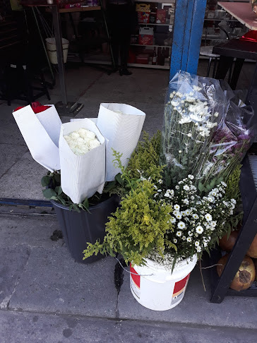 Florist Eliosd - Floristería