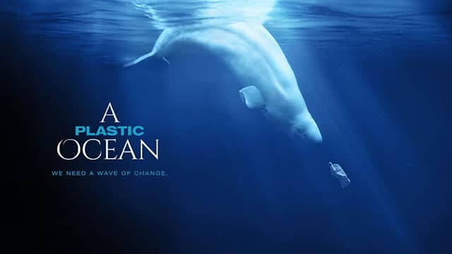 A Plastic Ocean (Photo: Greeners)