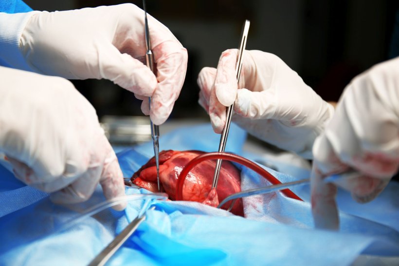 Medical Marvels