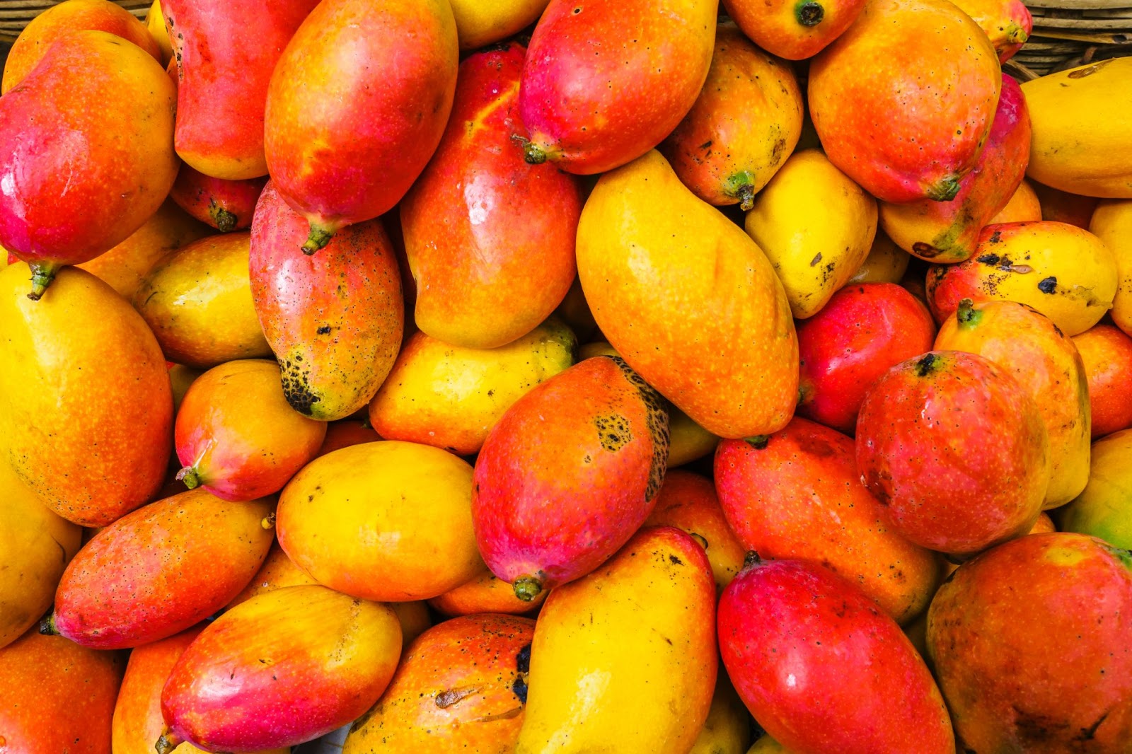 Manga or Mango, Costa Rican fruits