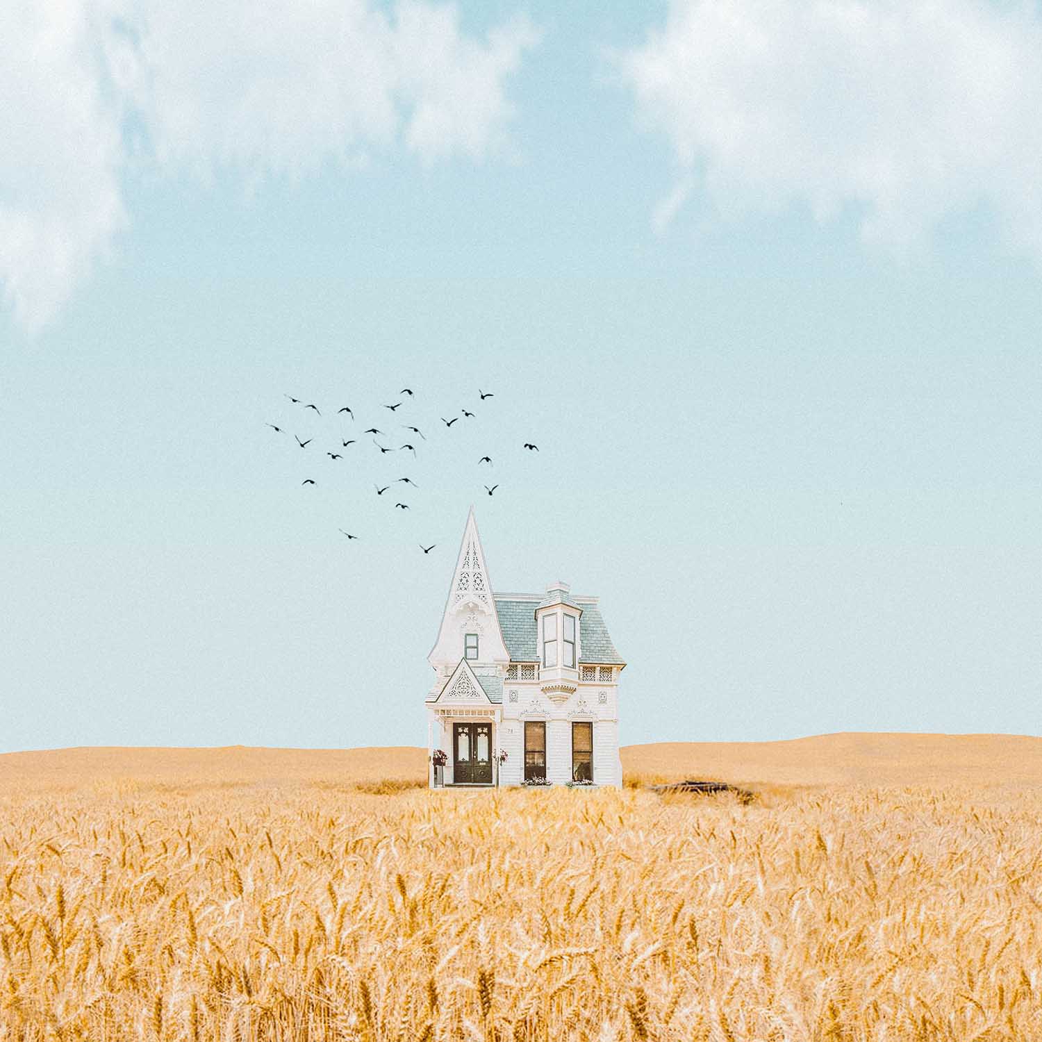 An illustration of a house on a field in a prairie with birds flying overtop.