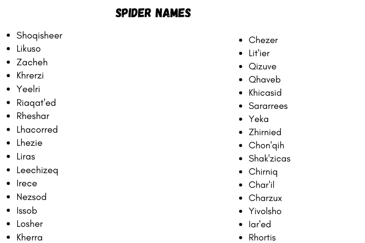 Spiderfolk Names