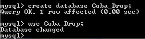 F:\capture\basisdata\modul 4\19.JPG