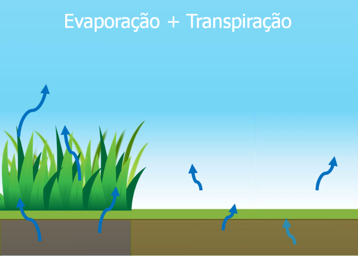 Evapotranspiração de Oásis (ETO)