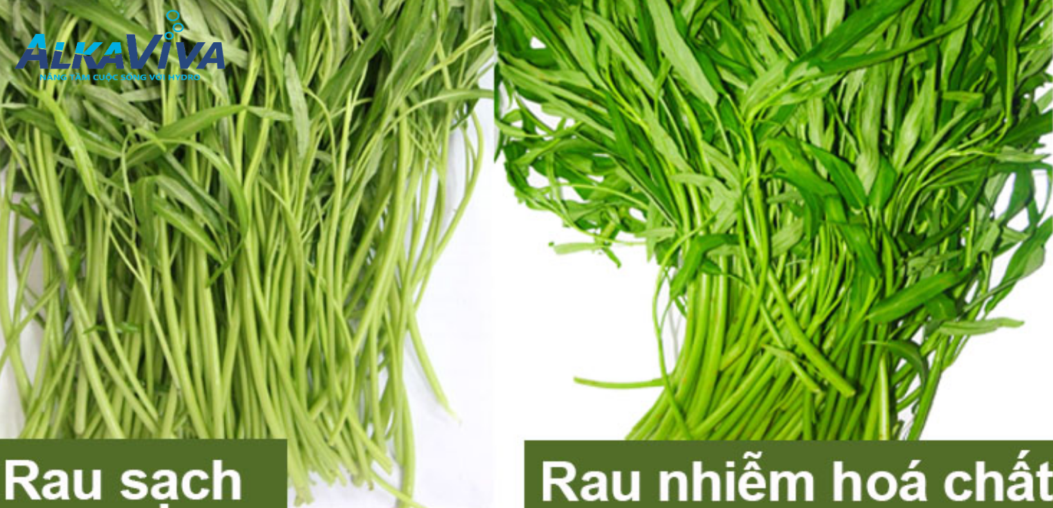 LOẠI BỎ SẠCH HOÀN TOÀN GIUN SÁN TRÊN THỰC PHẨM NHỜ NƯỚC ĐIỆN GIẢI ION KIỀM