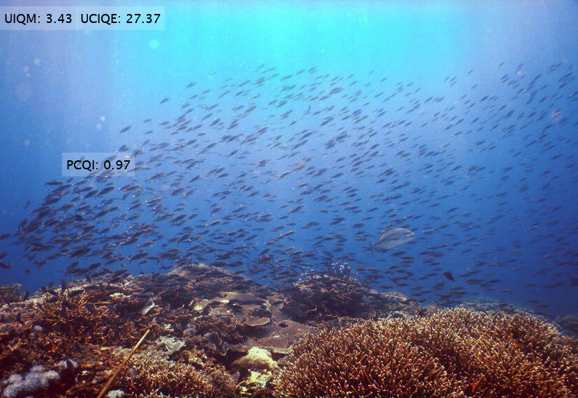 A picture containing text, nature, ocean floor

Description automatically generated