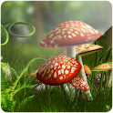 3D Mushroom (PRO) apk