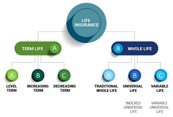Level Premium Term Life Insurance Policies The Ultimate Guide Wealth 