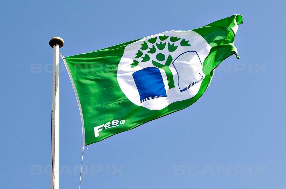 Det grønne flag bliver igen valgt - Energisten