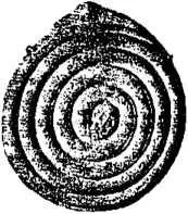 D:\0 wd yedek\acr yedek\1 film indirme\encyclopedia_symbols_roshal\encylopedia_files\000581.jpg
