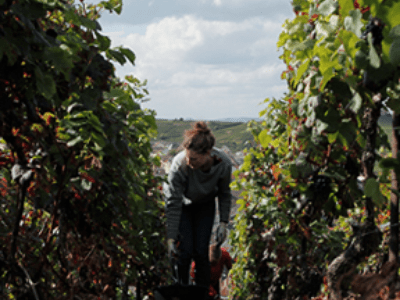 Roederer