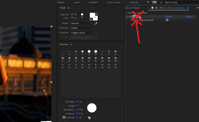 Select Effect Controls -> Paint