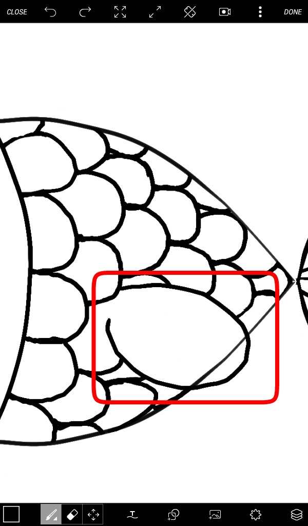 How to draw easily a fish? – TGFP