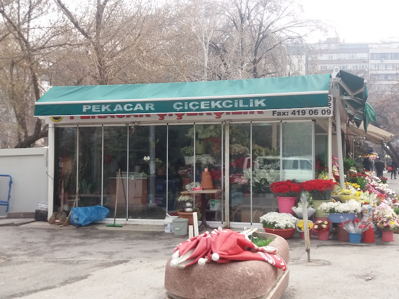 Ankara çiçekçi ve Pekacar Çiçekcilik