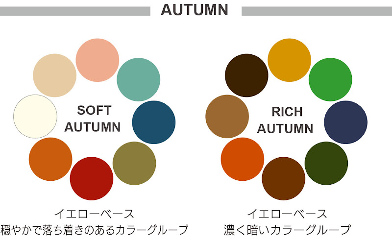 EIGHT COLORパーソナルカラー診断】とは？ | Bimore