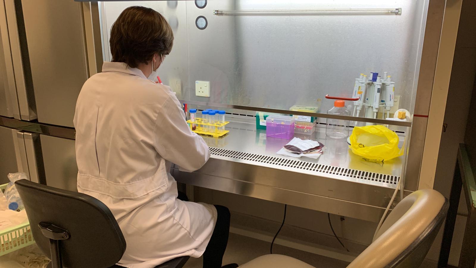 emcs-maria-cabada-investigacion