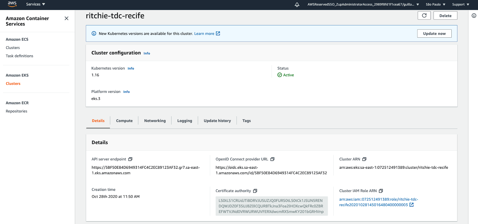 Evidência do cluster EKS que foi configurado na AWS após a execução do pipeline do CircleCI.